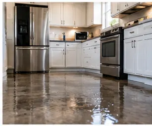 Why Balch Springs Property Owners Choose ARS Restoration Services